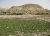  تپه ي پيش از تاريخ روستاي سرني از توابع صالح آباد مهران